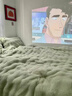 拉夏貝爾（La Chapelle）加厚兔兔絨床上四件套牛奶絨冬季保暖雙面絨床單被套床笠學(xué)生宿舍 泡泡-翡翠綠【加厚兔毛絨】 床單款  1.8m四件套-被套200x230cm 曬單實(shí)拍圖