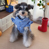 嬉皮狗（hipidog）狗狗衣服2025新款冬裝比熊泰迪小型犬寵物冬季貓狗通用秋冬季馬甲 邦迪藍 XL （建議體重12-15斤） 曬單實(shí)拍圖