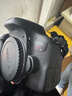 佳能/Canon EOS 600D 650D 700D 800D學(xué)生入門(mén)級二手單反相機高清旅游相機 佳能750D 18-135 IS一鏡頭走天下 套機 95新 曬單實(shí)拍圖