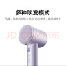 米家小米高速吹風(fēng)機Pro 智能控溫 多種吹發(fā)模式 磁吸風(fēng)嘴 防吸發(fā)設計 家用大功率 不傷發(fā) 生日禮物女 米家高速吹風(fēng)機Pro 巖石灰 曬單實(shí)拍圖