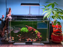 沃韋朗魚(yú)缸燈LED燈水草燈小型觀(guān)賞燈全光譜草缸燈照明燈水族夾燈 【多功能七色調光定時(shí)】G25-W W 曬單實(shí)拍圖