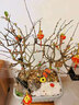 聽(tīng)雪樓梅花盆栽樹(shù)苗老樁盆景陽(yáng)臺庭院原生紅梅四季耐寒臘梅濃香花卉綠植 6年紅梅 60-80cm 原土發(fā)貨 曬單實(shí)拍圖