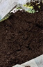 營(yíng)養土通用型有機土家用盆栽多肉養花種菜專(zhuān)用土壤種植養花泥炭土 【養花種菜通用】營(yíng)養土10斤 曬單實(shí)拍圖