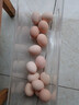 憶鄉嶺雞蛋 散養谷物蛋 農家山林喂養 初生鮮土雞蛋 15枚600g 曬單實(shí)拍圖