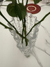 京東鮮花 冰川極凍花瓶 高端擺件客廳插花玻璃透明輕奢高級感水養玫瑰鮮花 曬單實(shí)拍圖