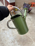 沃施（WORTH）澆水壺長(cháng)嘴壺噴灑壺園藝家用加厚多肉澆花壺不銹鋼把手澆水神器 4.5L花灑壺綠色 曬單實(shí)拍圖