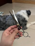 GERTHRON德國狗狗剪毛專(zhuān)用剪刀寵物美容工具套裝彎剪貓咪比熊泰迪專(zhuān)業(yè)修毛 平口剪+牙剪+月牙剪寵物專(zhuān)用鋒利不卡毛 曬單實(shí)拍圖
