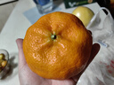 桃西村 甘平柑橘皇后現摘純甜【JD快遞-送貨上門(mén)】孕婦當季薄皮多汁柑橘 甘平柑橘 9斤稀缺果王（100mm+）JD快遞 曬單實(shí)拍圖