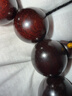 沐恩印度小葉紫檀手串泥料金星配老山檀香頂珠 20mmx12顆【沐染】 曬單實(shí)拍圖