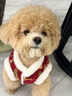 魚(yú)躍星空寵物狗狗衣服冬季拜年馬年新年保暖冬天過(guò)年喜慶小狗唐裝拜年服 刺繡飛馬送?！局袊t】限時(shí)低價(jià) XS (建議1-3斤） 曬單實(shí)拍圖
