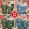 迪伽洛純棉t恤軍訓(xùn)迷彩服全套男女大學(xué)生夏季薄款訓(xùn)練服初高中短袖套裝 灰迷【斜紋棉外套+褲+純棉T+帽腰 165(適合身高160-165CM) 曬單實(shí)拍圖