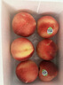 澳洲水蜜桃 澳大利亞進(jìn)口桃子公主桃脆甜當季水果-甄果 兩斤澳洲水蜜桃（5-7個(gè)果） 曬單實(shí)拍圖