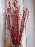 歐芽  銀柳帶花瓶一整套銀柳真花鮮枝紅色植物大花苞銀柳春節年宵 【60cm 20支鮮枝+紅鉆迎喜瓶+10掛飾】 曬單實(shí)拍圖