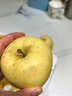 形果山東奶油富士蘋(píng)果中大果當季現摘山東富士蘋(píng)果孕婦兒童新鮮水果 奶油富士中果 精選5斤裝 曬單實(shí)拍圖
