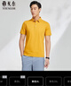 雅戈爾（YOUNGOR） T恤男士 夏季青年男士商務(wù)休閑短袖T恤 VSPC533033UCA 黃色 XL 曬單實(shí)拍圖
