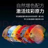 德彩七彩神仙魚(yú)專(zhuān)用飼料觀(guān)賞魚(yú)魚(yú)糧魚(yú)食小顆粒 七彩飼料（顆粒）1000ml/300g 曬單實(shí)拍圖