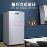 愛(ài)妻（AICHEN）立式冰柜小冰柜家用小型冷凍迷你速凍商用抽屜式冷柜儲母乳柜節能省電冰箱 50升銀色【一級能效 全國聯(lián)?！?50L 曬單實(shí)拍圖