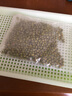蔬菜小葉芽菜自種水培生鮮種子花生紅豆綠豆黑豆黃豆食材 水培盆+綠豆種子 曬單實(shí)拍圖