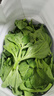 【送沙拉醬】新鮮冰草冰菜沙拉菜火鍋即食生吃生菜送沙拉醬西餐廳 新鮮冰草5斤 曬單實(shí)拍圖