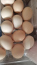 對面小城新鮮現撿土雞蛋柴雞蛋初生蛋單枚40±5g 60枚家庭裝 曬單實(shí)拍圖