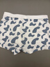 浪莎兒童內褲男童內褲A類(lèi)棉質(zhì)內褲中大童青少年四角短褲 男童奶牛150 曬單實(shí)拍圖