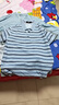 七匹狼短袖T恤男士夏季POLO商務(wù)休閑細條紋中青年上衣透氣百搭衣服 曬單實(shí)拍圖