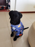 秋冬季保暖狗狗睡衣寵物棉襖四條腿適合各類(lèi)大中小型犬 藍色 L(19-28斤) 曬單實(shí)拍圖