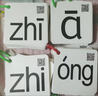 IGIFTFIRE拼音卡片帶聲調 230張漢語(yǔ)帶四聲調一年級小學(xué)生學(xué)習幼兒園兒童 【拼音卡】230張聲母+韻母+整體認讀音節 曬單實(shí)拍圖
