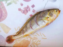 三都港 冷凍三去黃花魚(yú)2斤/2條裝 寧德大黃魚(yú) 生鮮 魚(yú)類(lèi) 海鮮 曬單實(shí)拍圖