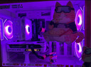 七彩虹橘貓定制主機酷睿i5 13400F RTX5060Ti顯卡臺式機電腦4060Ti吃雞游戲AI直播設計DIY組裝整機 配一丨i5 12400F丨RTX5060 8G 丨16GB 內存 曬單實(shí)拍圖