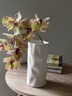 涵蔚奶油風(fēng)褶皺冰裂紋陶瓷花瓶 ins 風(fēng)高級質(zhì)感客廳玄關(guān)餐桌裝飾擺件 曬單實(shí)拍圖