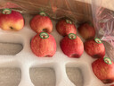 洛川蘋(píng)果陜西延安25年新品種蘋(píng)果水果禮盒水果生鮮送禮 秦脆 20個(gè)75mm 禮盒裝 曬單實(shí)拍圖