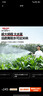 德力西電氣（DELIXI ELECTRIC）充電式鋰電池澆水神器農用新型澆地抽水泵灌溉抽水機電動(dòng)自吸澆菜 9000mAh雙核+5+20米管 曬單實(shí)拍圖