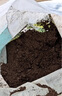 營(yíng)養土通用型有機土家用盆栽多肉養花種菜專(zhuān)用土壤種植養花泥炭土 【養花種菜通用】營(yíng)養土10斤 曬單實(shí)拍圖
