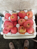 京地達蘋(píng)果煙臺紅富士蘋(píng)果新鮮水果整箱大果8.5斤85mm+源頭直發(fā) 曬單實(shí)拍圖