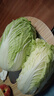 【東東買(mǎi)菜】新鮮水果大白菜去老葉口感脆甜沙拉涼拌炒菜火鍋燉菜 水果大白菜3斤 曬單實(shí)拍圖