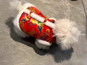 阿莫爾狗狗衣服秋冬季皇帝龍袍裝新年保暖棉衣貓咪泰迪過(guò)年加厚寵物唐裝 新年皇袍【紅色】 M【建議5-8斤 參考胸圍背長(cháng)】 曬單實(shí)拍圖