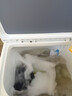 小天鵝（LittleSwan）雙桶雙缸洗衣機半自動(dòng) 12公斤超大容量 品質(zhì)雙電機洗脫分離 洗大件 以舊換新 一級能效省電省水 TP12S156 曬單實(shí)拍圖