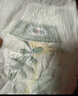 露安適（Lelch）日夜純凈pure箱裝學(xué)走褲XL碼72片(12-17kg)日用嬰兒尿不濕拉拉褲 曬單實(shí)拍圖