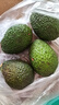 云南國產(chǎn)正宗哈斯牛油果新鮮水果孕婦寶寶輔食鱷梨整箱批發(fā)價(jià) 4個(gè)裝 單果重70-100克 曬單實(shí)拍圖