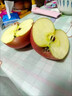 正宗新疆阿克種植正品冰糖心蘋(píng)果水果新鮮蘇整箱應季紅富士丑蘋(píng)果 品質(zhì)小果【嘗鮮體驗】 5斤裝 曬單實(shí)拍圖
