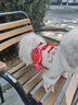 嬉皮狗（hipidog）寵物狗狗新年魚(yú)躍龍門(mén)唐裝馬甲牽引棉衣秋冬加絨保暖小型幼犬衣服 彌雅白馬甲 S （建議體重1-3斤） 曬單實(shí)拍圖