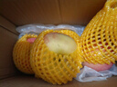 山東丑蘋(píng)果高次微瑕紅富士清倉特價(jià)助農幫扶25025當季采摘 4粒（75mm起） 性?xún)r(jià)比超高介意慎拍 曬單實(shí)拍圖