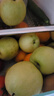 京覓河北趙州綠皇冠梨單果250g起蜜梨4.5斤裝 梨子新鮮水果 源頭直發(fā) 曬單實(shí)拍圖