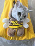 貓包貓貓背包單肩斜挎寵物外出便攜背包出門(mén)袋胸前兜遛貓袋橫跨式 M(建議1-6斤狗 0-8斤貓) 小蜜蜂 曬單實(shí)拍圖