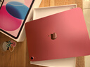 Apple/蘋(píng)果 iPad11英寸 A16芯片2025年款 平板電腦 (256GB WLAN版/學(xué)習辦公娛樂(lè ))粉色 曬單實(shí)拍圖