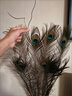 Aseblarm真孔雀羽毛80-90cm孔雀毛插花瓶時(shí)尚裝飾婚慶羽毛diy飾品配件 80-90cm孔雀羽毛 5條 曬單實(shí)拍圖