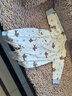 巴厘小豬新生嬰兒兒衣服春秋純棉哈衣爬服初生兒綁帶和尚服秋裝寶寶連體衣 點(diǎn)點(diǎn)汪星人 66cm 曬單實(shí)拍圖