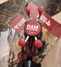 RAM MOUNTS車(chē)載手機支架 越野吸盤(pán)紅色通用型車(chē)載支架 標準背夾_15厘米套裝 曬單實(shí)拍圖