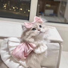 FAIRY PET四季通用寵物衣服薄款流光裙公主裙子泰迪比熊狗狗貓咪外出牽引 白色 粉蝴蝶結【可牽引】 S【推薦3-4斤】 曬單實(shí)拍圖